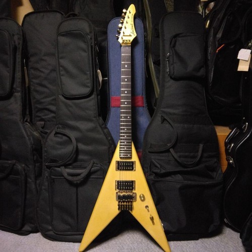 Chitarra elettrica aria - chitarra, pro