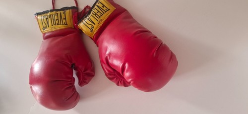 Guantoni box everlast - guantoni,
