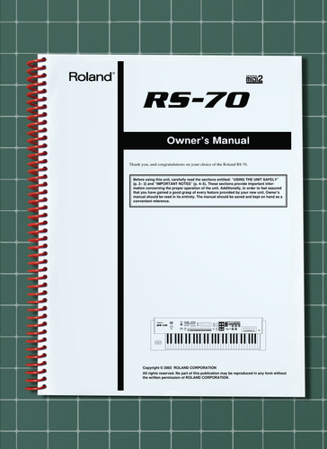 Roland 2 in - 2,