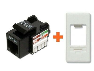 Link presa rete lan - link,