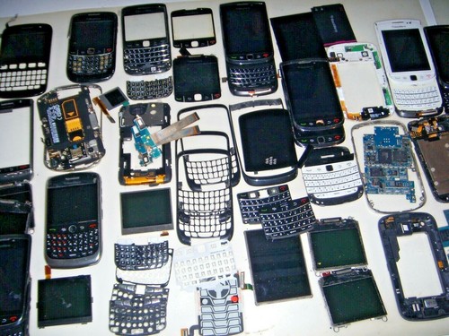 Grande stock blackberry - grande,