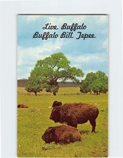 Cartolina Buffalo Bill Tepee