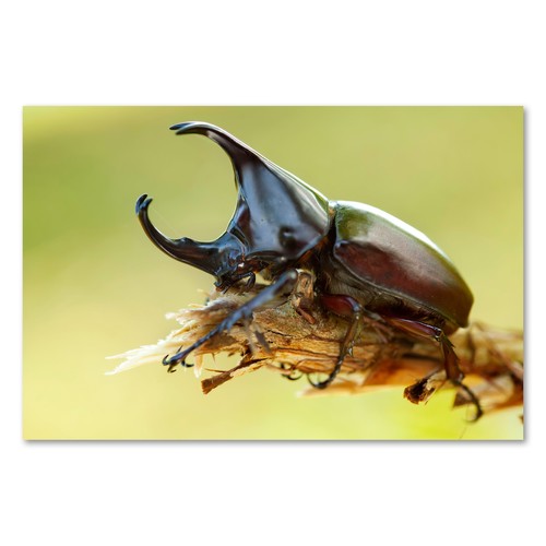 Postereck 3925 poster - postereck,