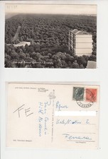 Lido degli Estensi (Comacchio, Ferrara): La pineta. Cart. FG b/n lucido vg 1960