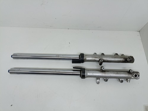 Forche yamaha thundercat 600 - forche,