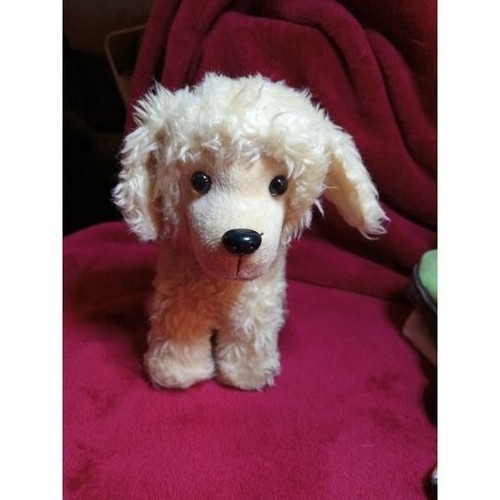 American girl bambola - american,