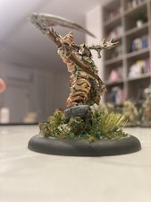Warhammer Caos Nurgle Hero