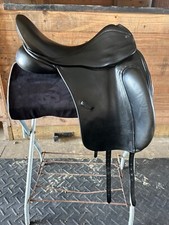 Dressage - County Perfection