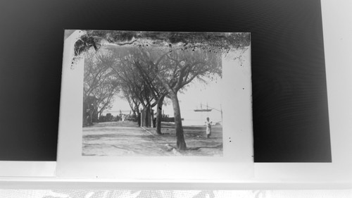 Antique 19th glass photo - c,