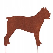 CANE CORSO CANE FIGURA CORTEN