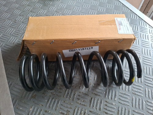 D4813187z196 molla sospensione - d4813187z196,