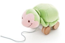Gioco Trainabile Peluche