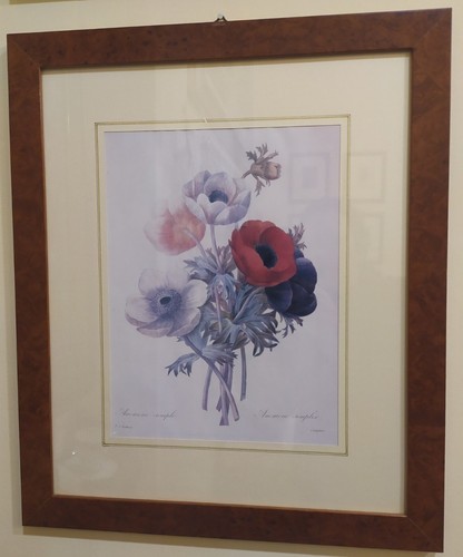 Stampa floreale anemone con - floreale,