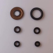 Set paraolio motore per Yamaha