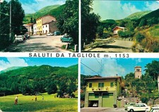 Modena Tagliole saluti da      non spedita F grande piega 