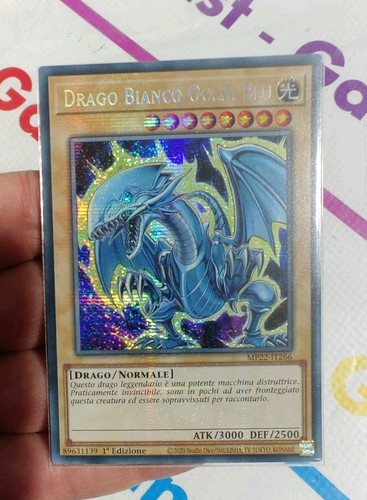 Drago bianco occhi blu - blu, •