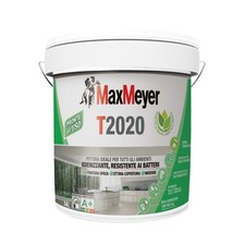 MaxMeyer T2020, Pittura per