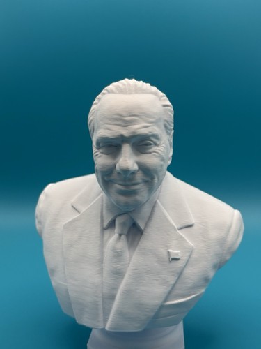 Busto mediaset silvio - busto,