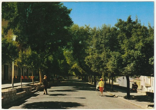 Tempio pausania viale - tempio,