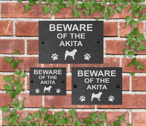 Attenzione cane ardesia - attenzione,