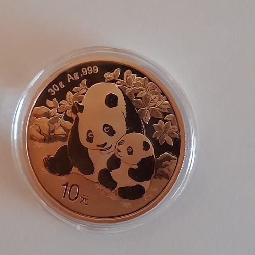 China panda oz argento - 1,