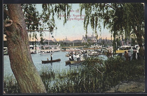 Cartolina tigre regata - cartolina, tigre,