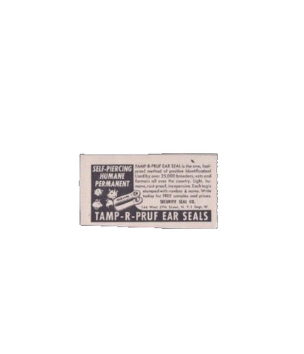 1948 stampa pubblicità - stampa,