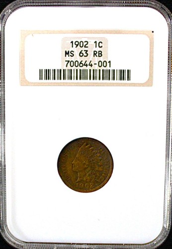Penny testa indiano 1902 - penny,
