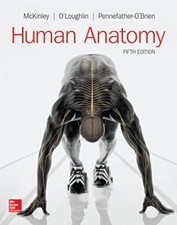 Human Anatomy [ Michael
