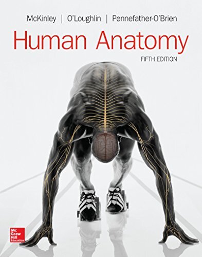 Human anatomy michael - [,