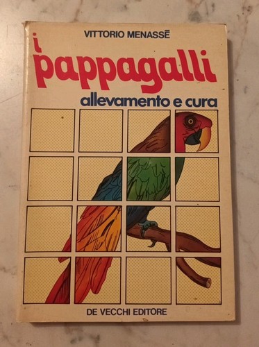 Menasse pappagalli - menasse, '