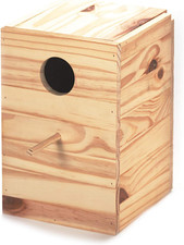 Nido in Legno per Ninfe