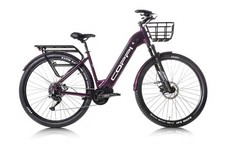 COPPI FOREST 29 CUES 9V