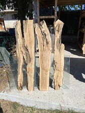 4 Tavole in legno di ulivo Max