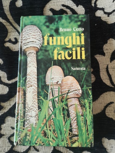 Funghi facili bruno - funghi, cetto