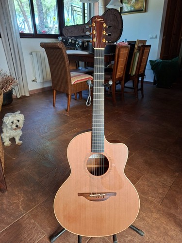 Lowden acoustic guitar - lowden,