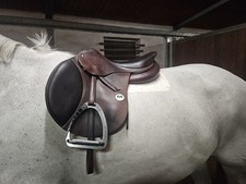 Sella a molla Meyer sedano simile a Voltaire, Devoucoux, CWD e Amerigo