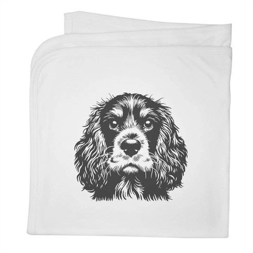 Cocker spaniel portrait - spaniel, portrait'
