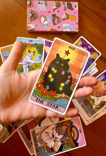 Cat meme tarot mazzo tarocchi - mazzo,