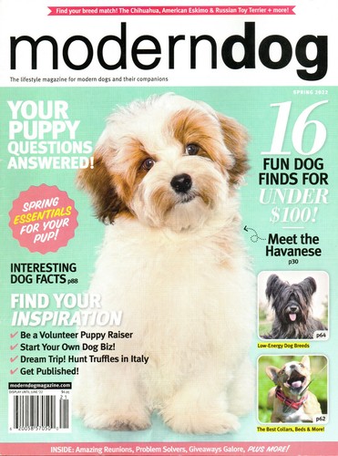 Modern dog magazine spring - dog,