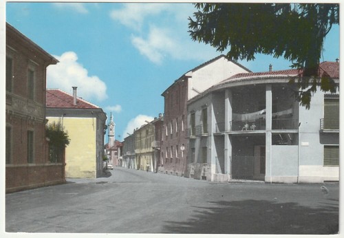 Bassignana alessandria - -,