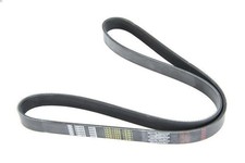 Cinghia ribbed ricambi - v-ribbed,