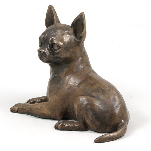 Chihuahua busto statua di - -, busto/statua