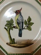 ZOOLOGIA_ORNITOLOGIA_UCCELLI_P