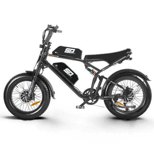 Doppio motore e bike - 20'',