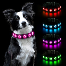 Collare Luminoso per Cani