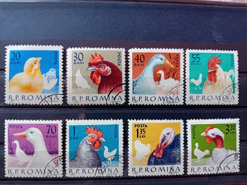 Romania 1963 breed birds - romania,