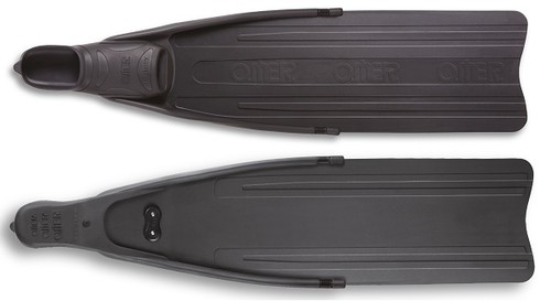 Pinna omer eagleray - omer,