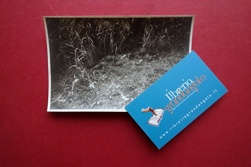 Fotografia originale ww1 - originale,
