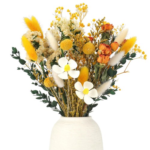 Halinuia pcs fiori secchi - pcs,